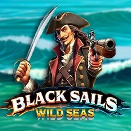 Try Black Sails Wild Seas slot by Infinity Dragon Studios on stakecasinoo.eu.com – logo image