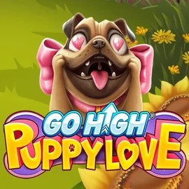 Go High Puppy Love slot logo by RubyPlay at Stake Casino
