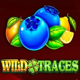 Wild Traces by Amusnet Interactive, showcased at stakecasinoo.eu.com – game logo